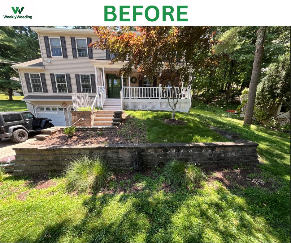 Retaining wall bed overgrown with weeds before service